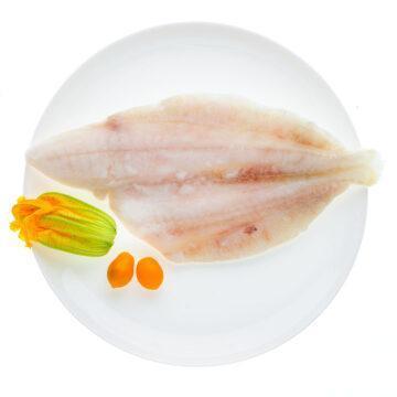 Filetto Rombo Giallo 200/400