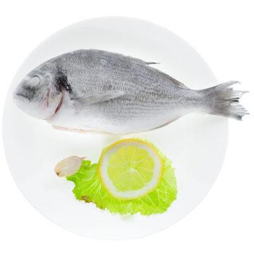 Orata Intera Eviscerata